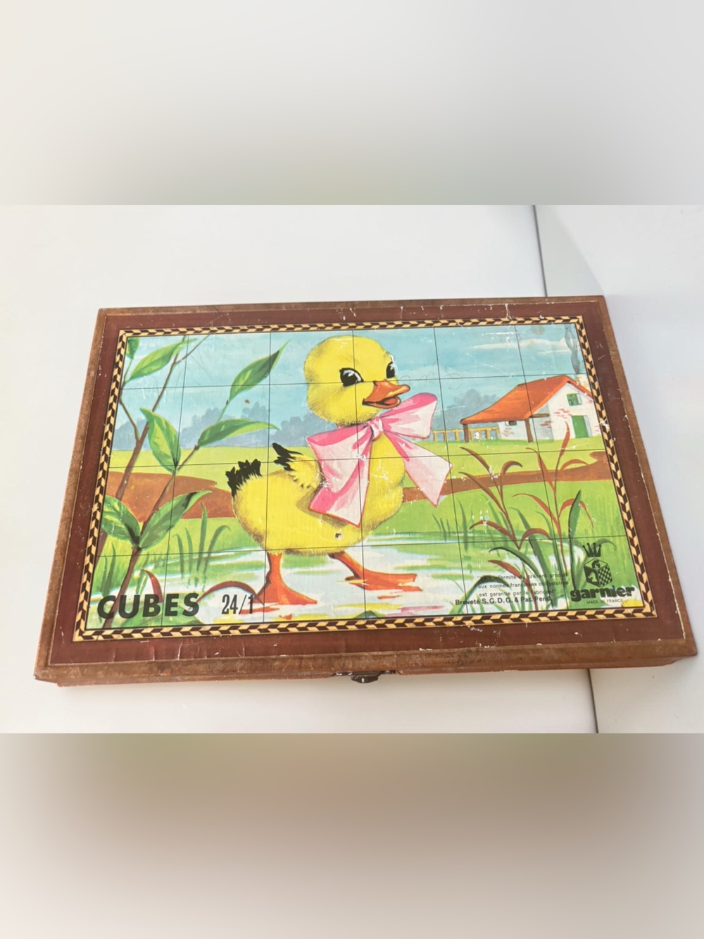 Vintage Garnier Cornil 24 Wood Cube Puzzle Duck Kitten Wooden Box France